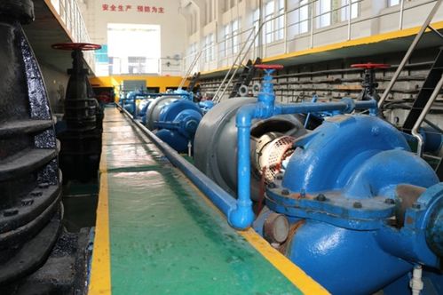 江西吉安吉福水厂老厂新年焕新颜，优化生产服务再上新台阶